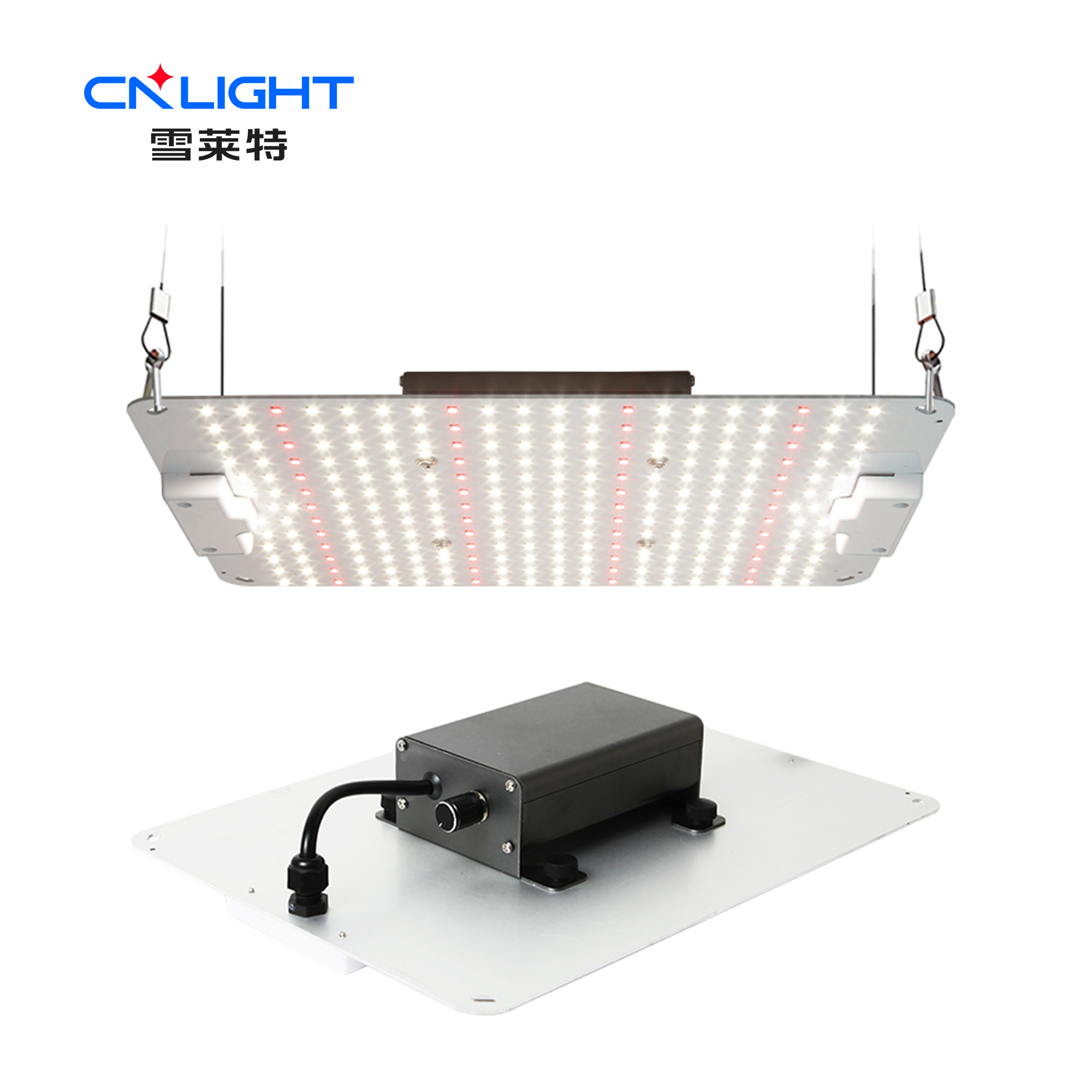 77����-ר������ָ��������ƽ̨