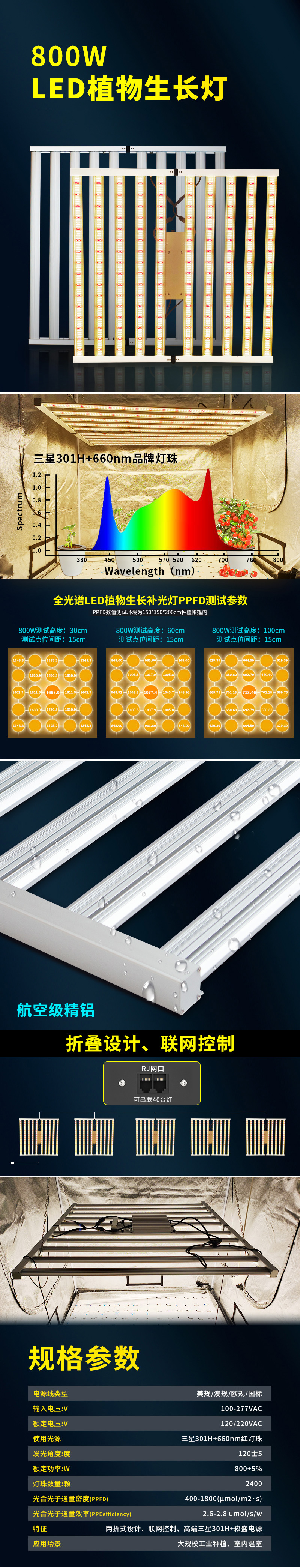 ���� ��צ��.jpg